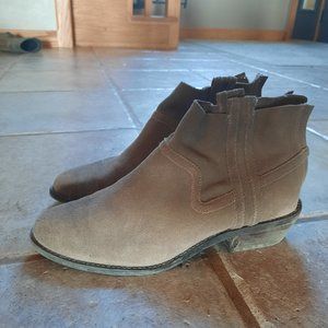 Dolce Vita -  Booties in taupe suede